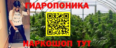 амф Северобайкальск