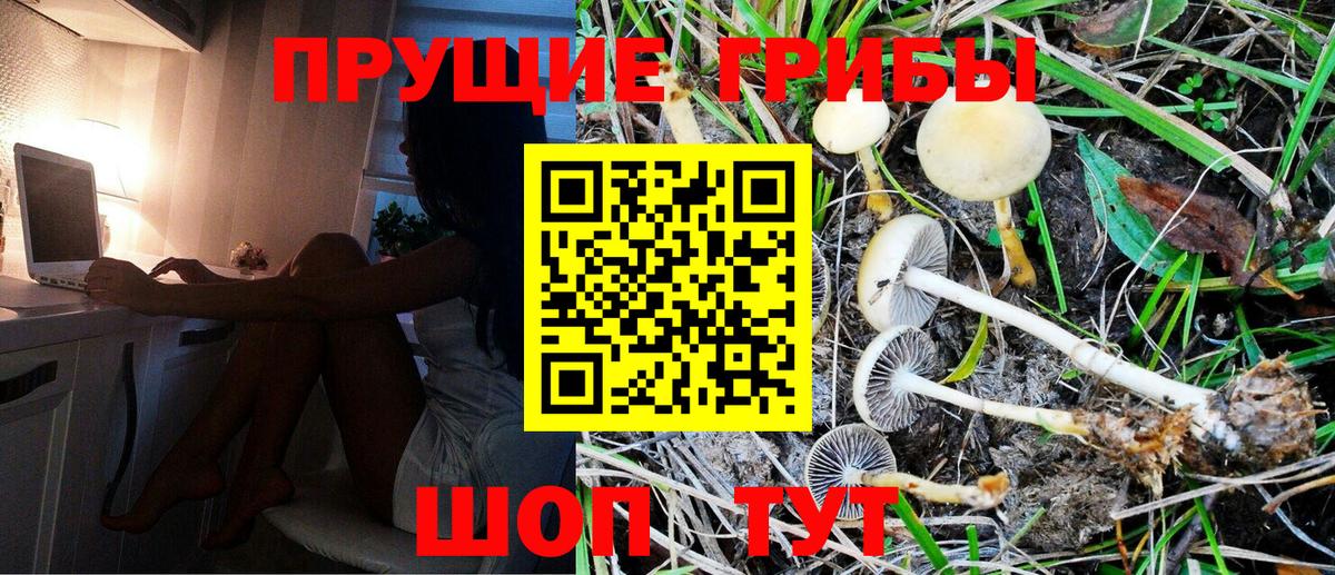 Псилоцибиновые грибы GOLDEN TEACHER Оренбург